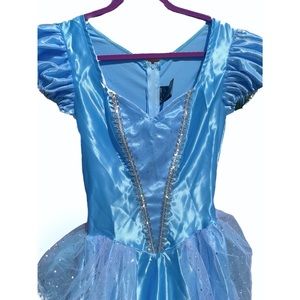Women's Classic Cinderella Princess Halloween Costume